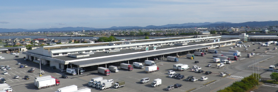 三重県地方卸売市場